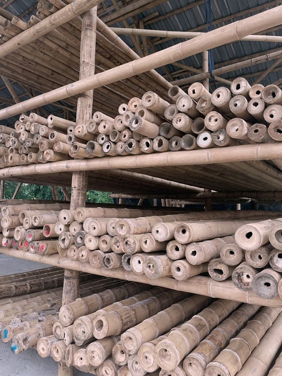 Guadua poles cantilevered from the rack, against the sky